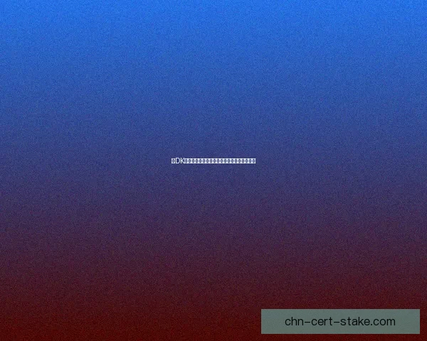 冰DK双手武器输出手法详解与技能优先级分析攻略