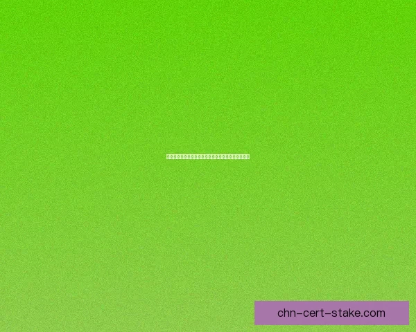 流浪的晚星照亮孤独心灵在漫漫长夜中寻找归宿的故事