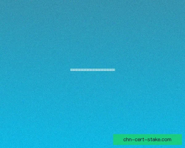 疯狂厨房双人模式全攻略合作烹饪挑战乐趣无穷掌握技巧快速通关