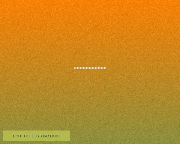 老夫子勇闯试炼之地探索智慧与勇气的极限挑战