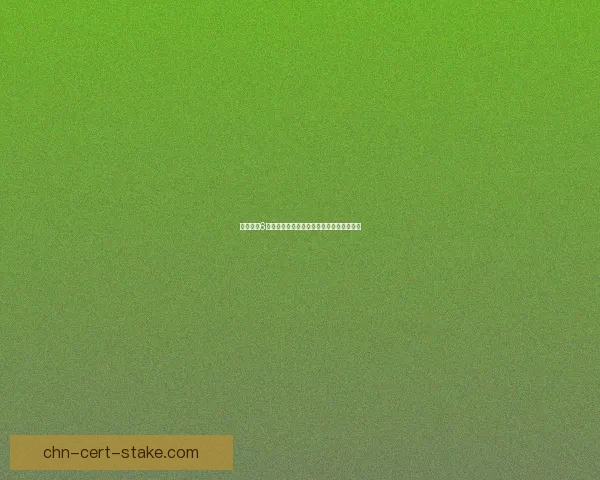 使命召唤6隐藏关卡揭秘与完整通关攻略解析全程详解